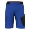 Short Salewa Pedroc Cargo 3 Durastretch Bleu Foncé